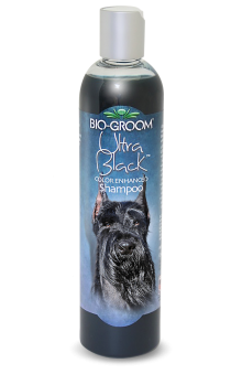 black dog shampoo