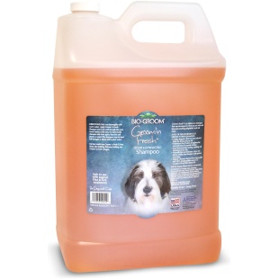 Groom'n Fresh Odor Eliminating, Sulfate-Free Dog Shampoo