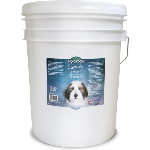 Groom'n Fresh Odor Eliminating, Sulfate-Free Dog Shampoo