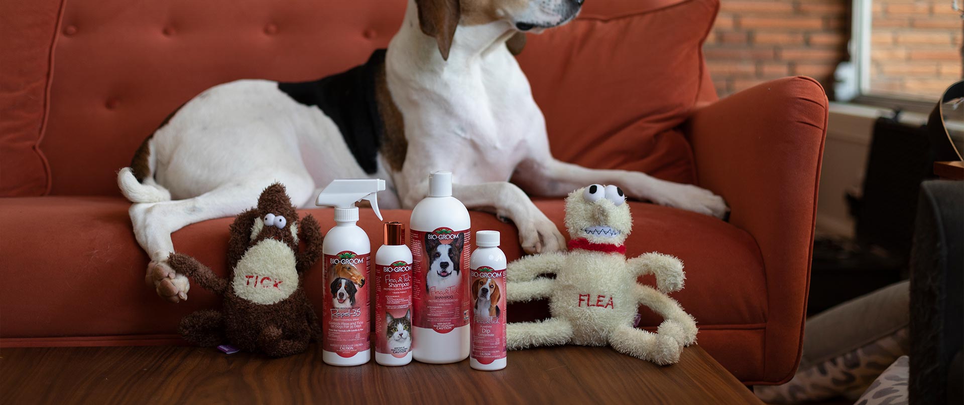 Flea & Tick Dog Products